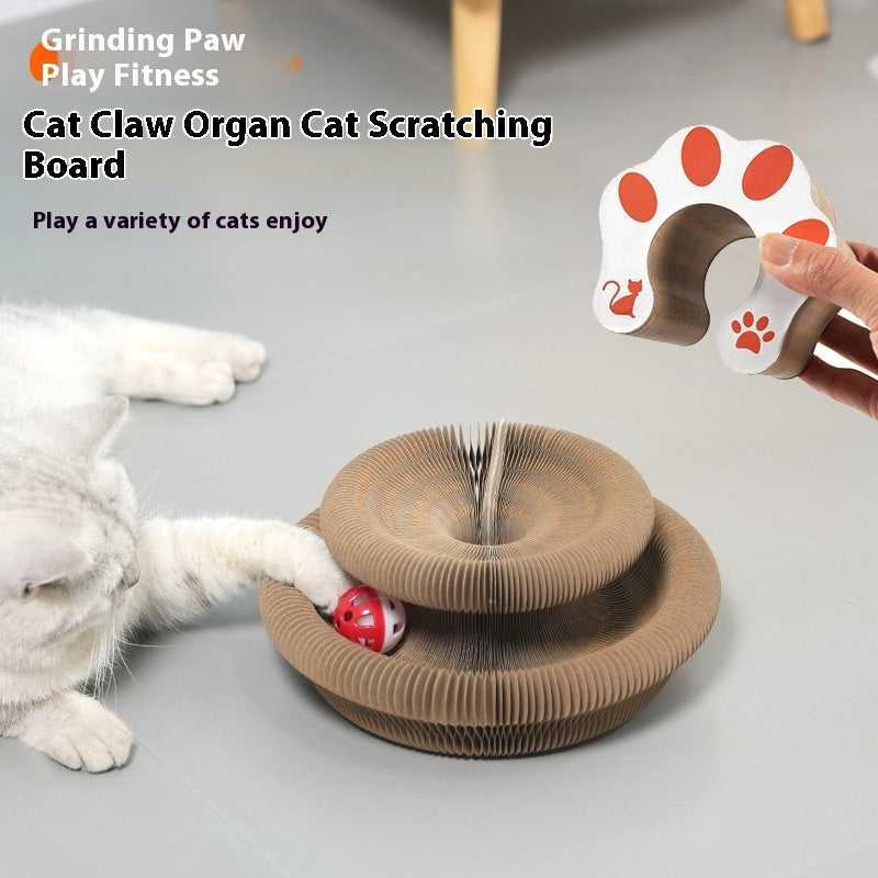 Organ Cat Scratch Board Strong Magnetic Foldable Self-Hi Toy